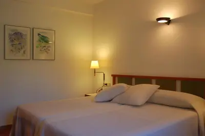 Cama o camas de una habitación en Hotel Vall Ferrera