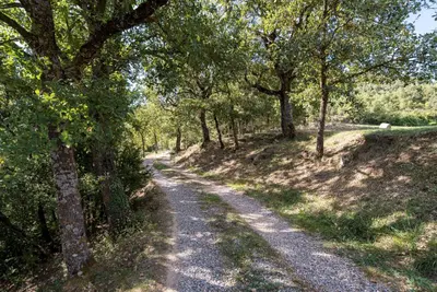 Paisaje cerca of this country house