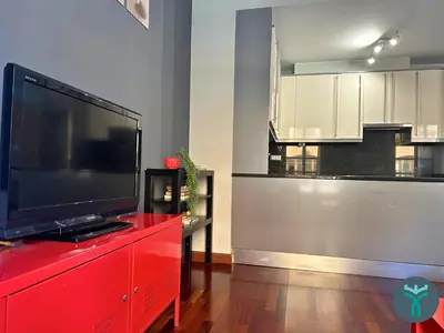 Una televisión o centro de entretenimiento en Dos Torres Retiro Urbano en Alfonso I