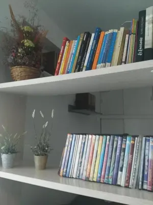 Biblioteca en el apartamento