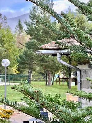 Jardín al aire libre en Camping Valle de Hecho