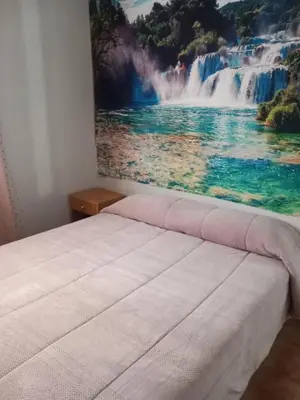 Cama o camas de una habitación en Entre els pirineus