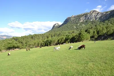 Paisaje cerca of this country house