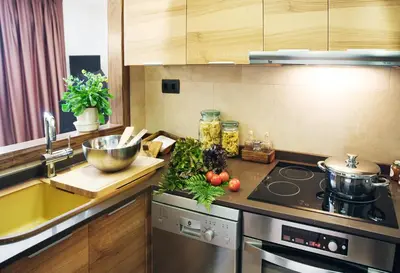 Una cocina o zona de cocina en Apartaments Petit Saüc