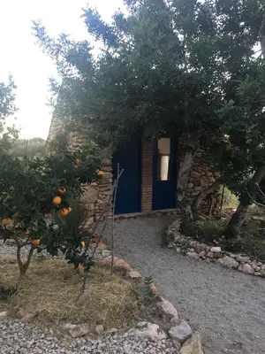 Jardín al aire libre en Finca Florecer