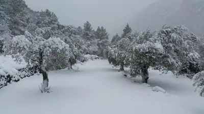 Casa Rural Cal Puyo en invierno
