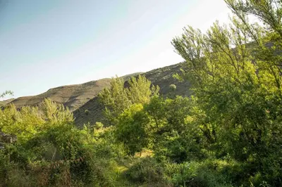Paisaje cerca of this country house