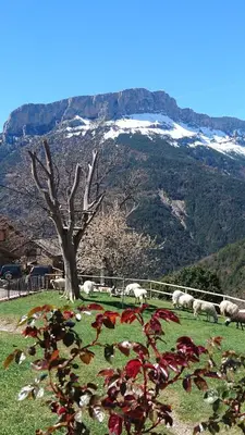 Paisaje cerca de este agroturismo