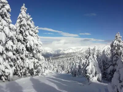 La Coberta-Lo Paller del Coc en invierno