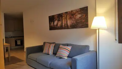 Zona de estar de Apartament Esterri Centre