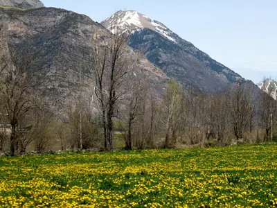 Paisaje cerca de este apartamento
