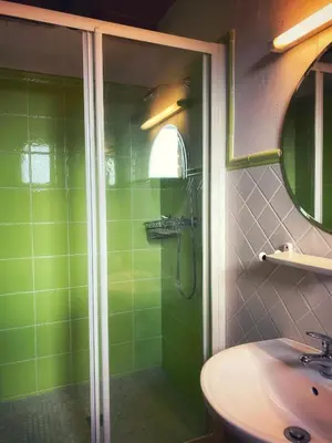 Un baño de Cal Perdigués de Boada pet friendly