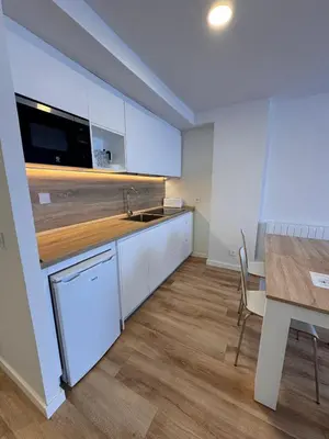 Una cocina o zona de cocina en Apartamentos Pirineos Rent