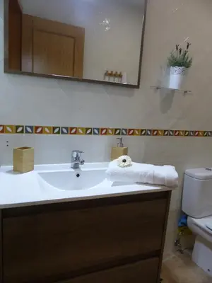 Un baño de Apartament Valls d'Aneu