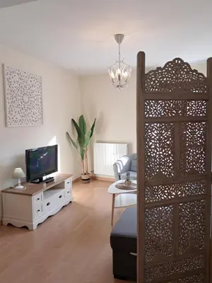 Una televisión o centro de entretenimiento en Apartamento Rúa Centro Balcony Calatayud