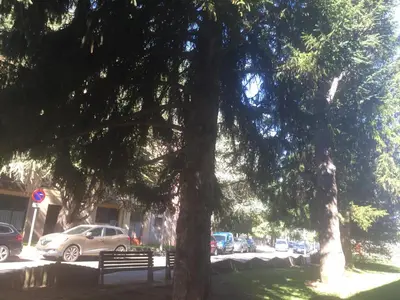 Plano de Ático Balcon De Jaca II