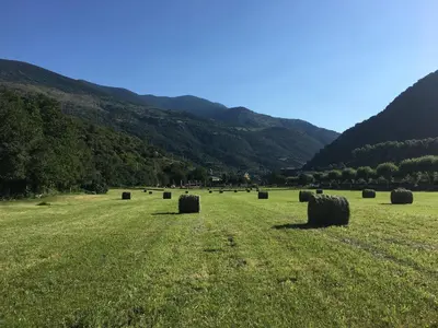 Paisaje cerca of this country house