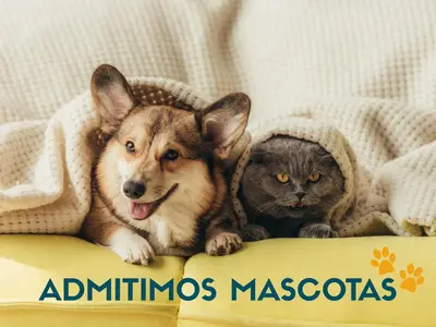 Mascotas con sus dueños en Apartamentos 3000 Formigal