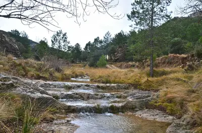 Paisaje cerca of this country house