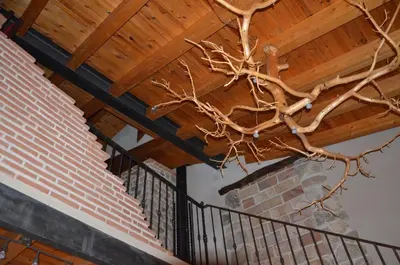 Plano de Casa LLovet
