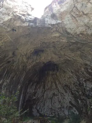 Paisaje cerca de este apartamento