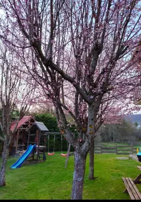 Jardín al aire libre en Apartamentos Goizeder