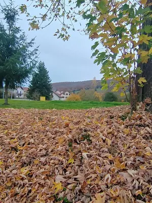 Paisaje cerca de este apartamento
