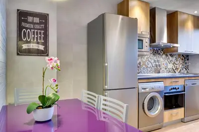 Una cocina o zona de cocina en Apartamentos San Lázaro