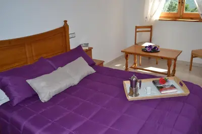Cama o camas de una habitación en Apartaments El Tarter