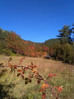 Paisaje cerca de este apartamento