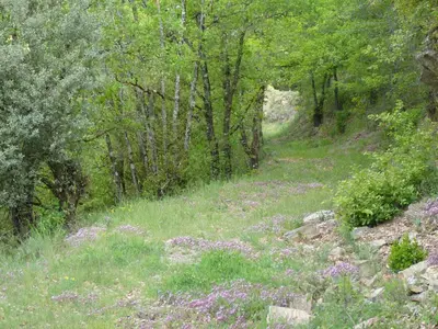 Paisaje cerca of this country house