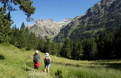 Paisaje cerca de este hotel