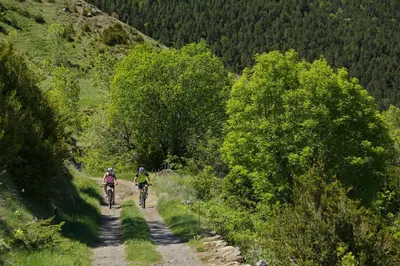 Paisaje cerca de este camping