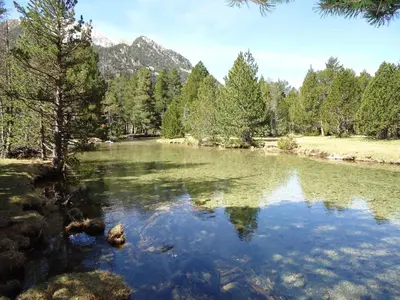 Paisaje cerca de este apartamento