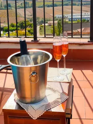 Bebidas en Les Voltes I - 2BD hidden gem in hilltop wine village