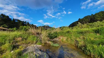 Paisaje cerca de este hostal o pensión