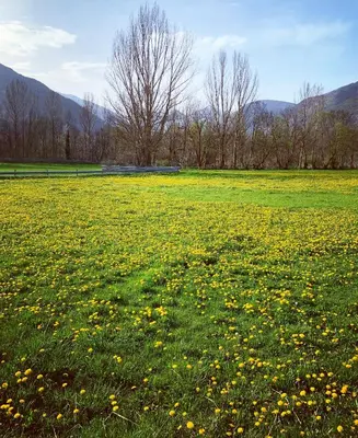 Paisaje cerca de este apartamento