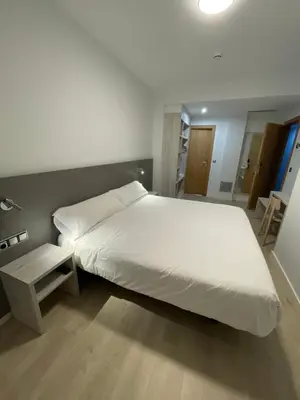 Cama o camas de una habitación en Hostal Pirineos Ainsa