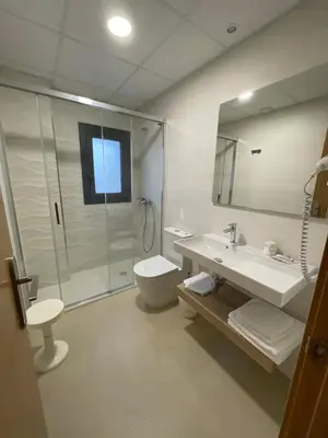 Un baño de Hostal Pirineos Ainsa
