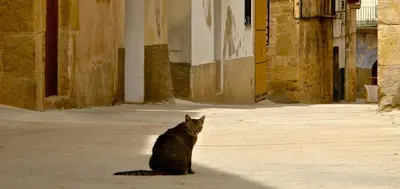 Mascotas con sus dueños en Casa Oryza