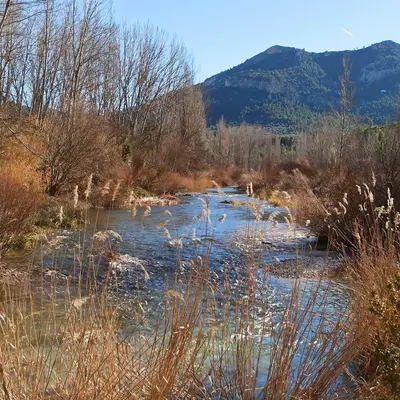 Paisaje cerca of this country house