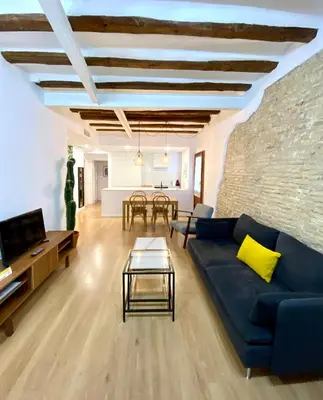 Zona de estar de VTZ El Balcón de Rey Alfonso I