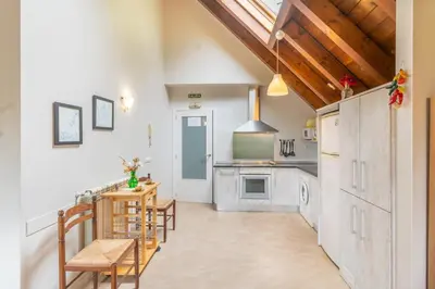 Una cocina o zona de cocina en Casa Ferran, amplias habitaciones y apartamentos de montaña
