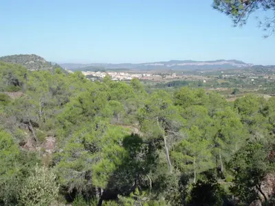 Paisaje cerca of this country house