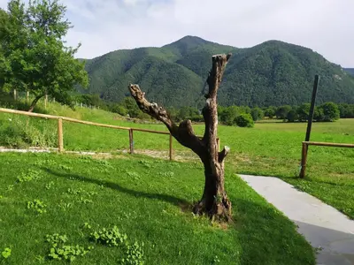 Paisaje cerca de este apartamento