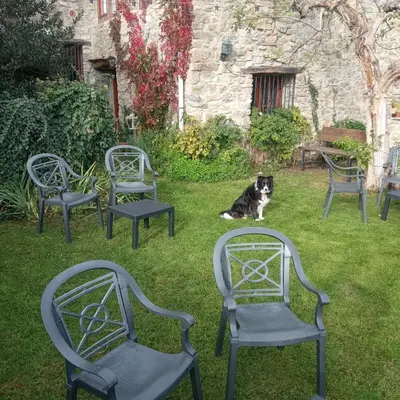Jardín al aire libre en Casa Juez