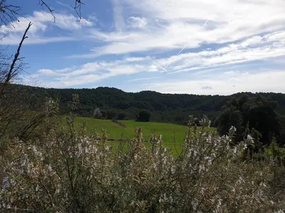 Paisaje cerca of this country house
