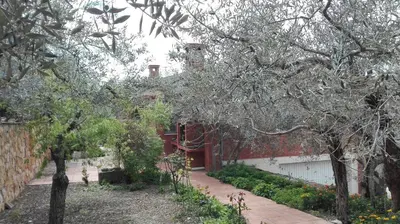 Jardín al aire libre en El Freginal