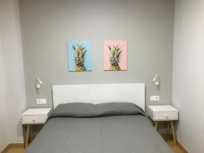 Cama o camas de una habitación en Apartamentos Maladeta
