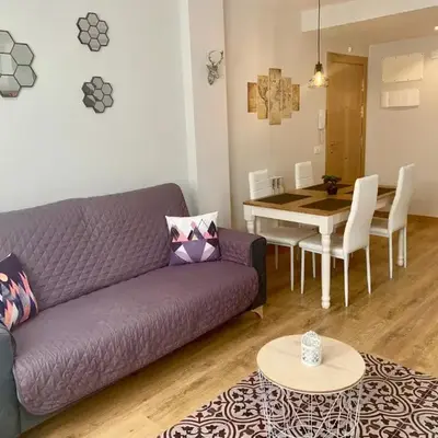 Apartamentos Maladeta